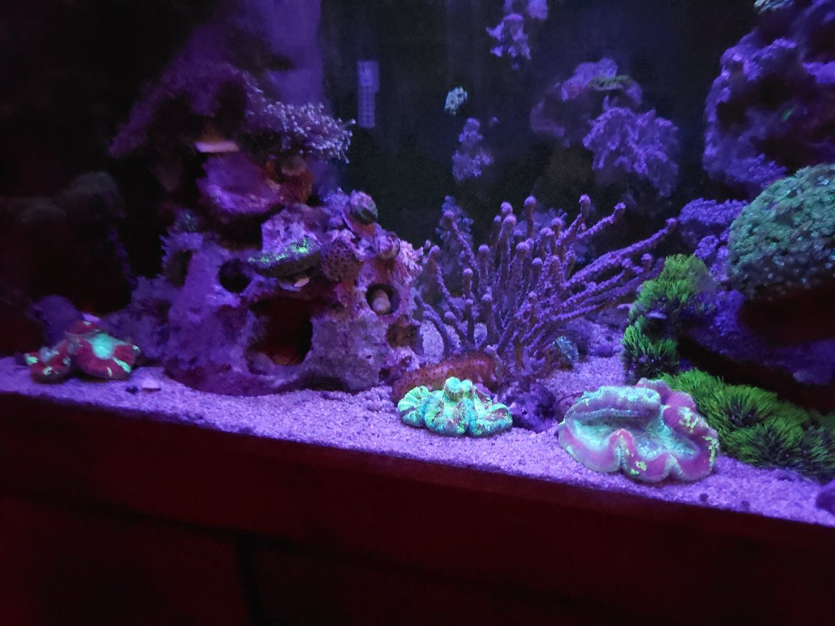 20211208_074857.jpg