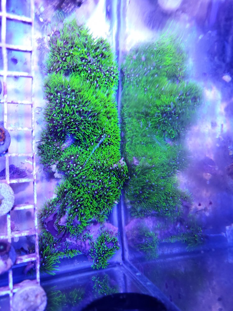 20220123_170939.jpg