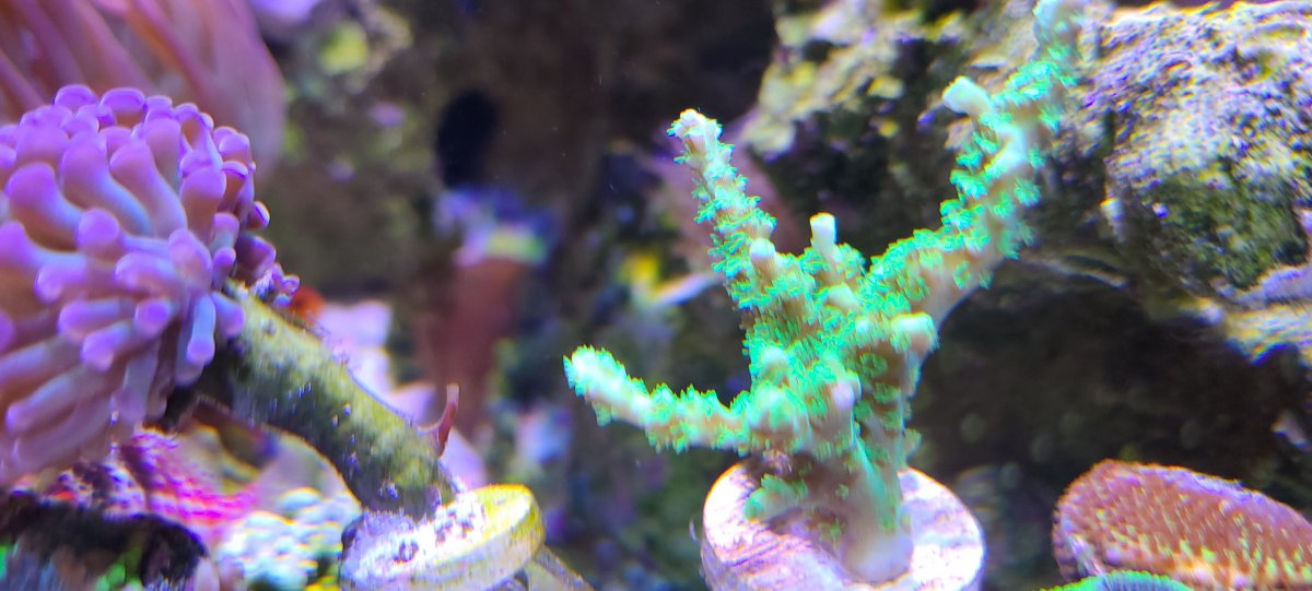 20220306_150046.jpg