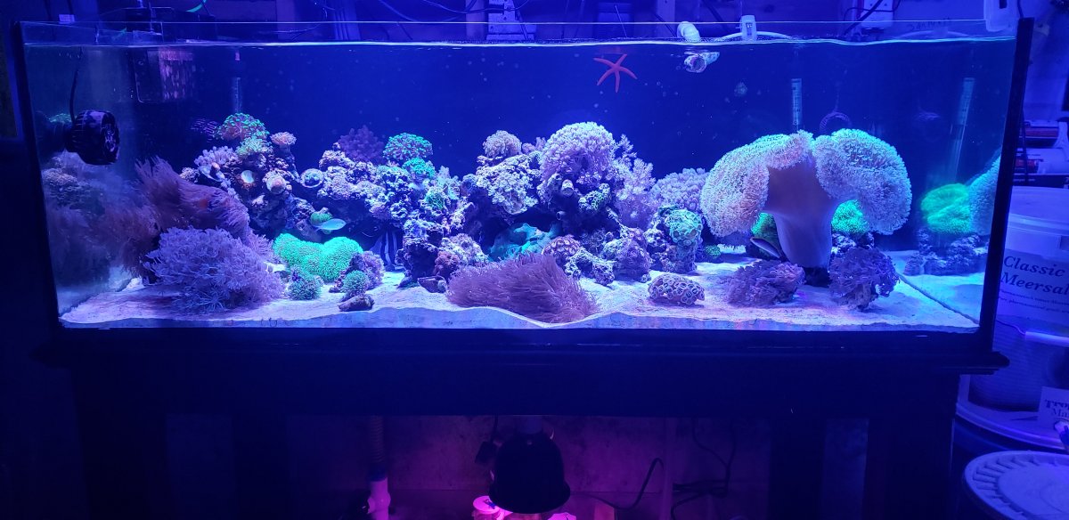20220315_175206.jpg