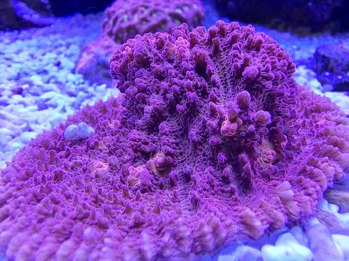 20220510_180446.jpg