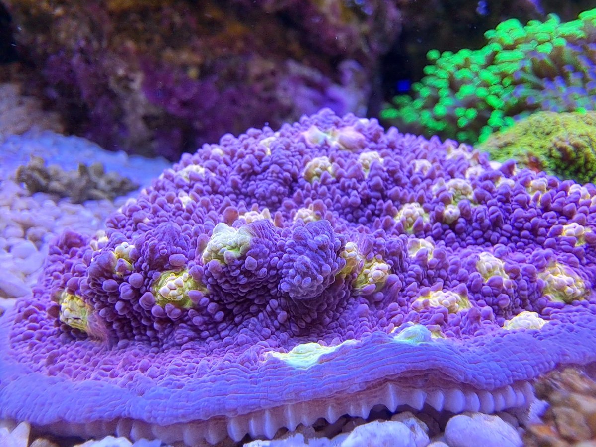 20220510_180541.jpg