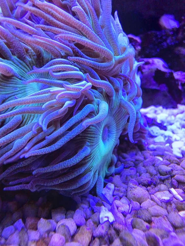 20220523_165250.jpg