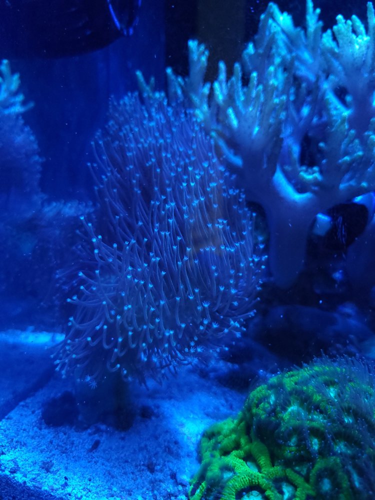 20220604_190216.jpg