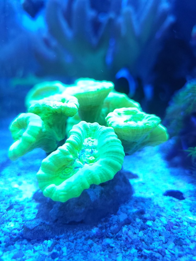 20220604_190430.jpg