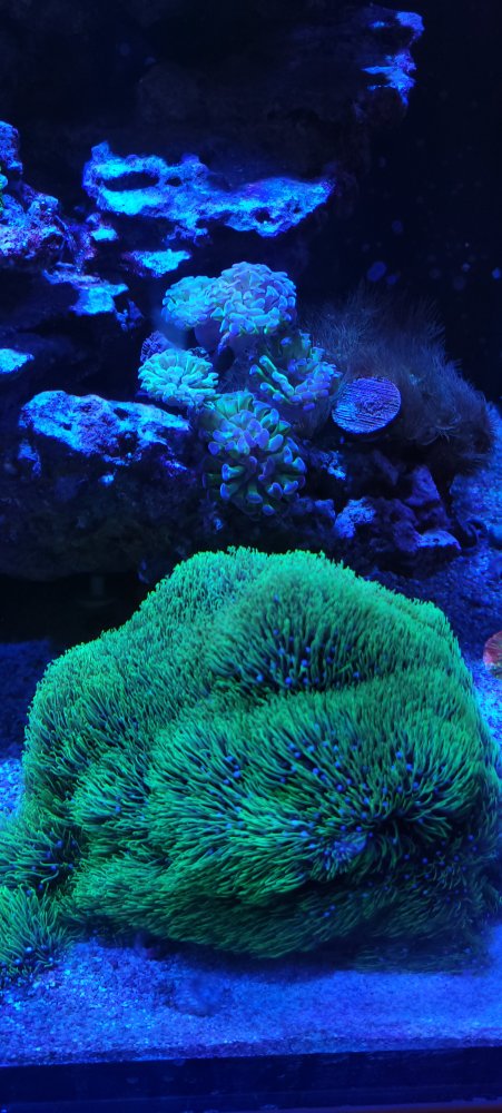 20220613_210022.jpg
