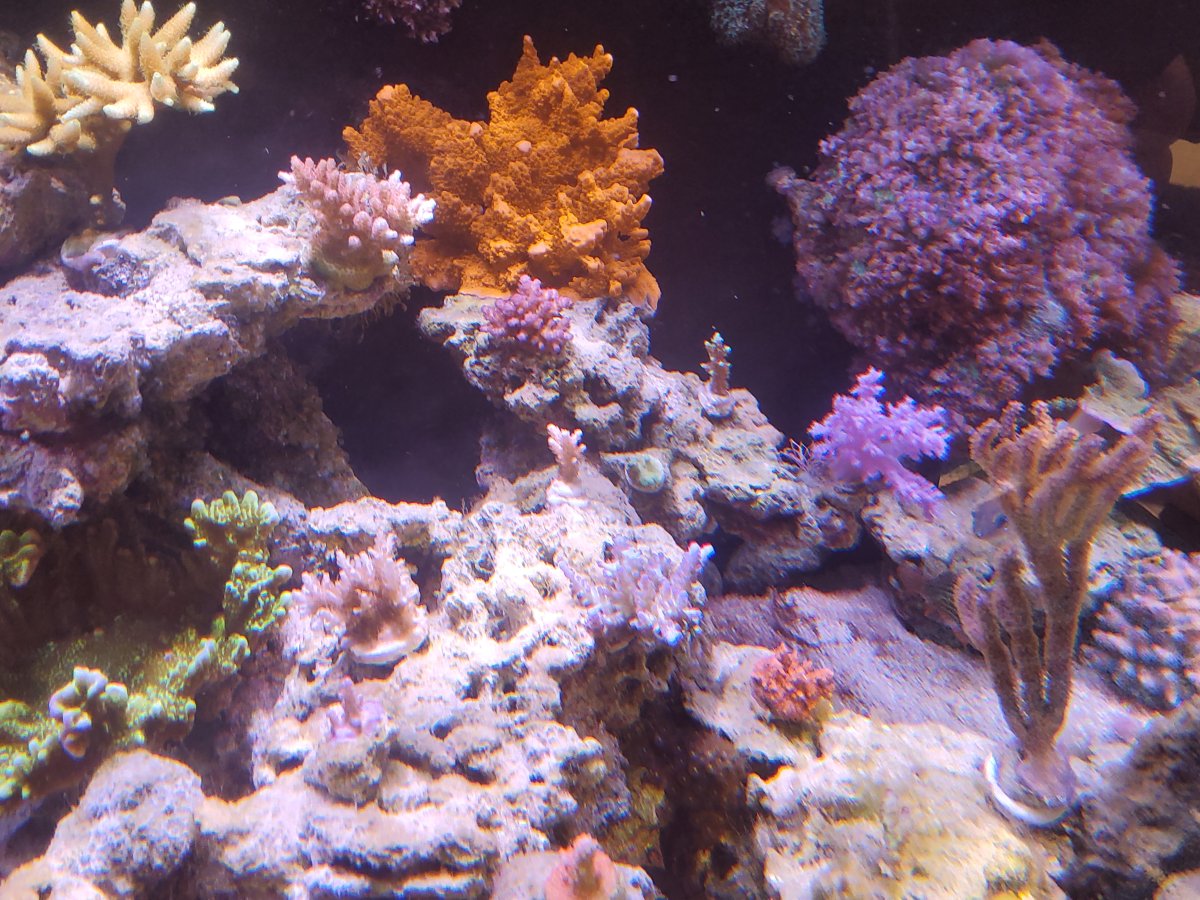 20220703_151246.jpg