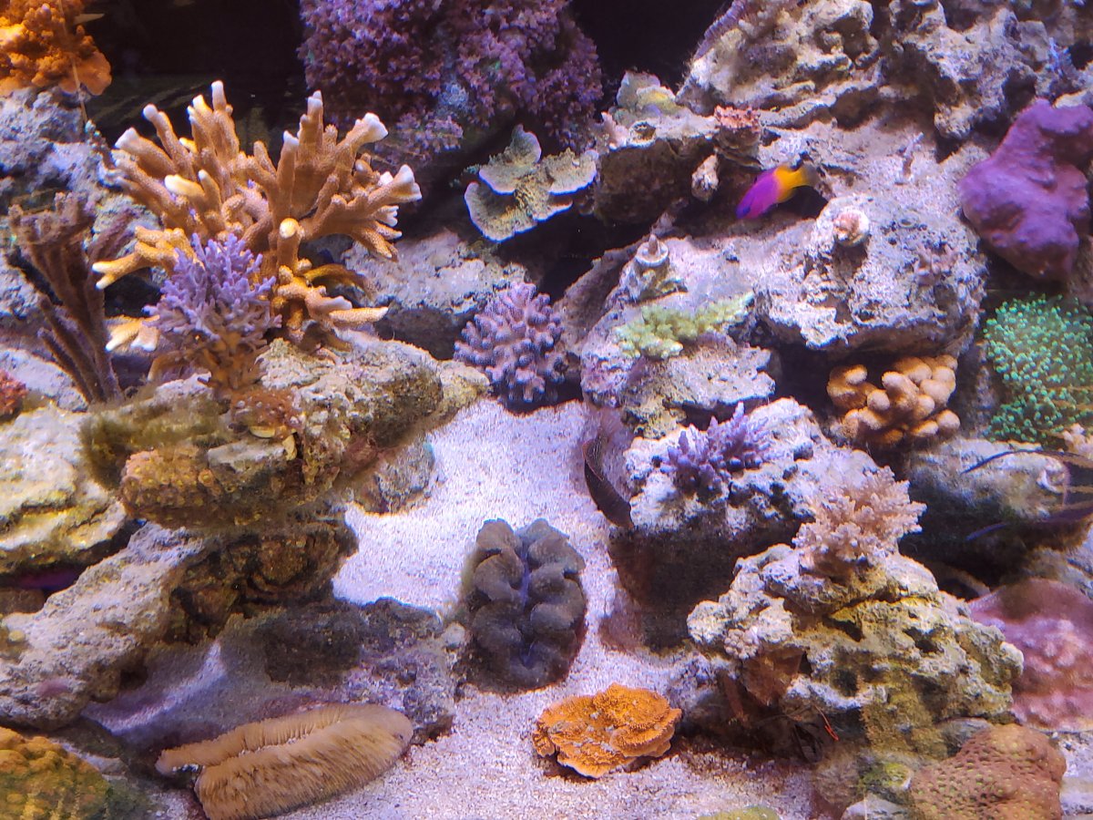 20220703_151308.jpg