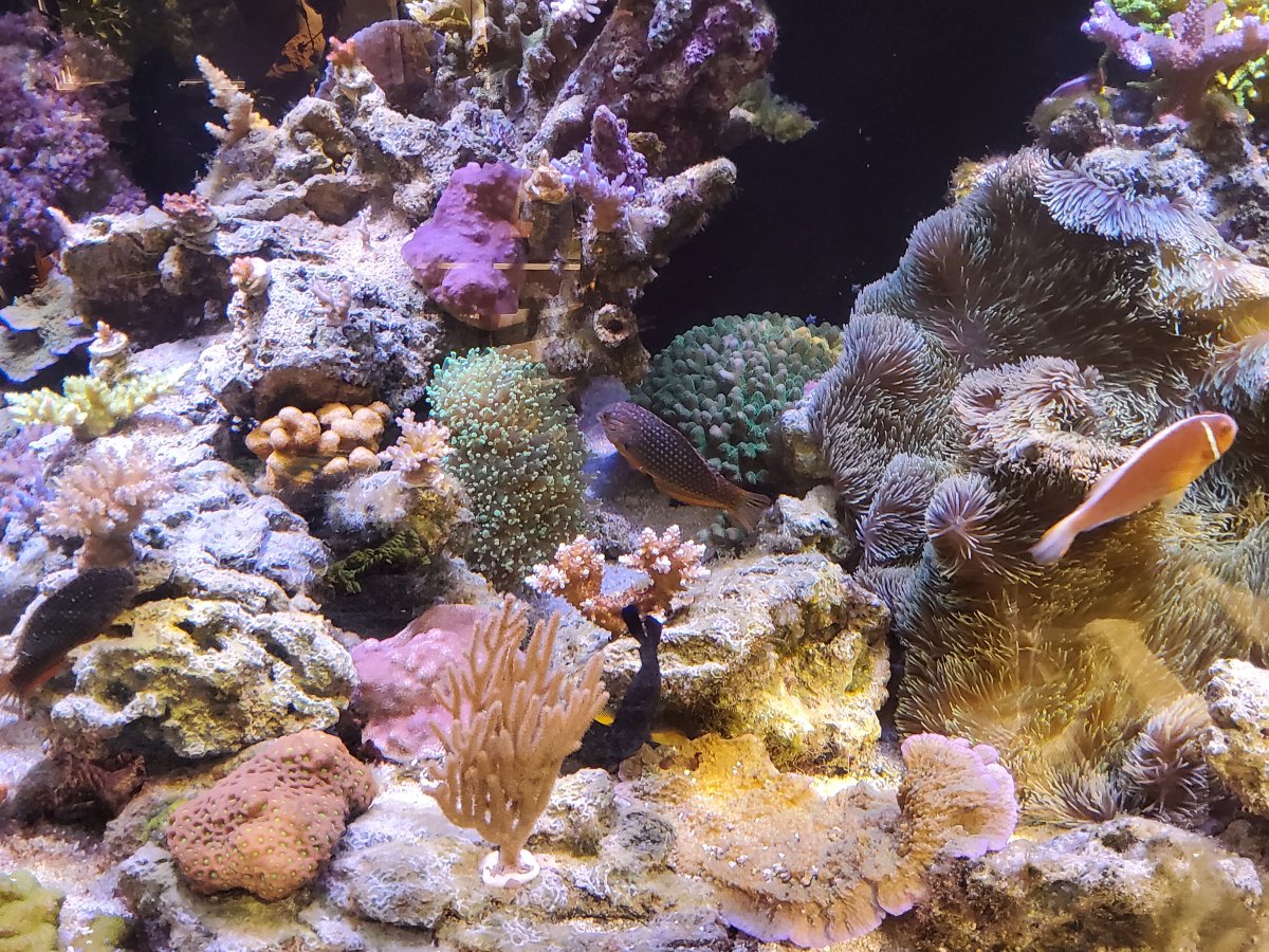 20220703_151319.jpg