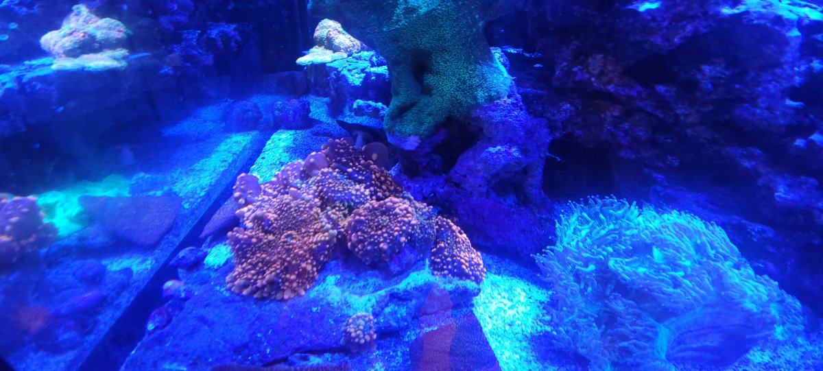 20220724_123506.jpg