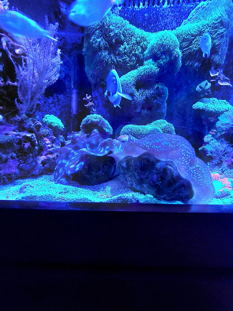 20220725_140254.jpg