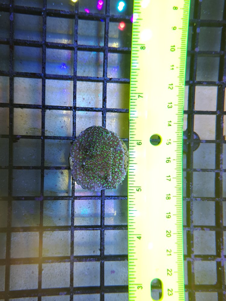 20220801_225308.jpg