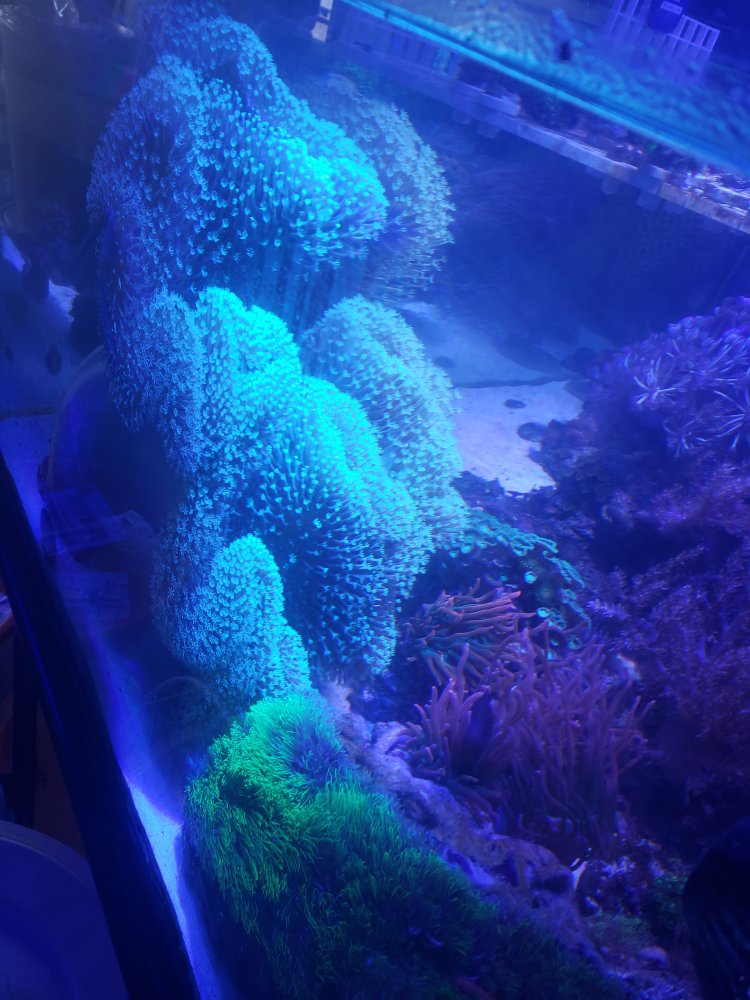20220808_163152.jpg