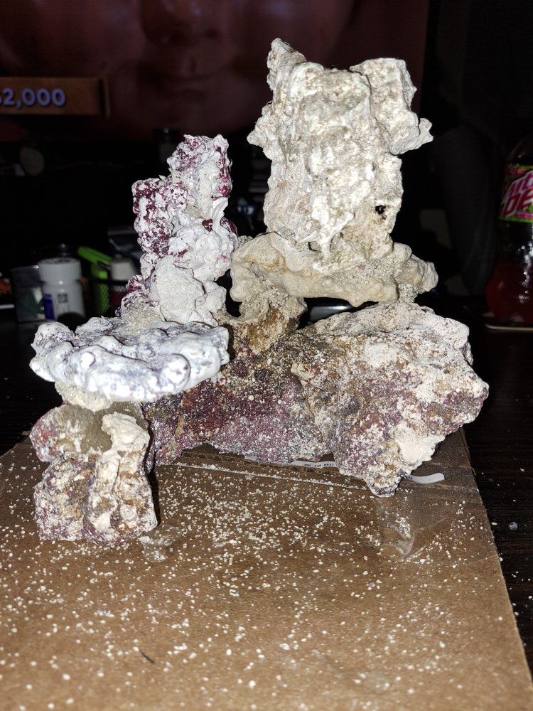 20220822_012839.jpg