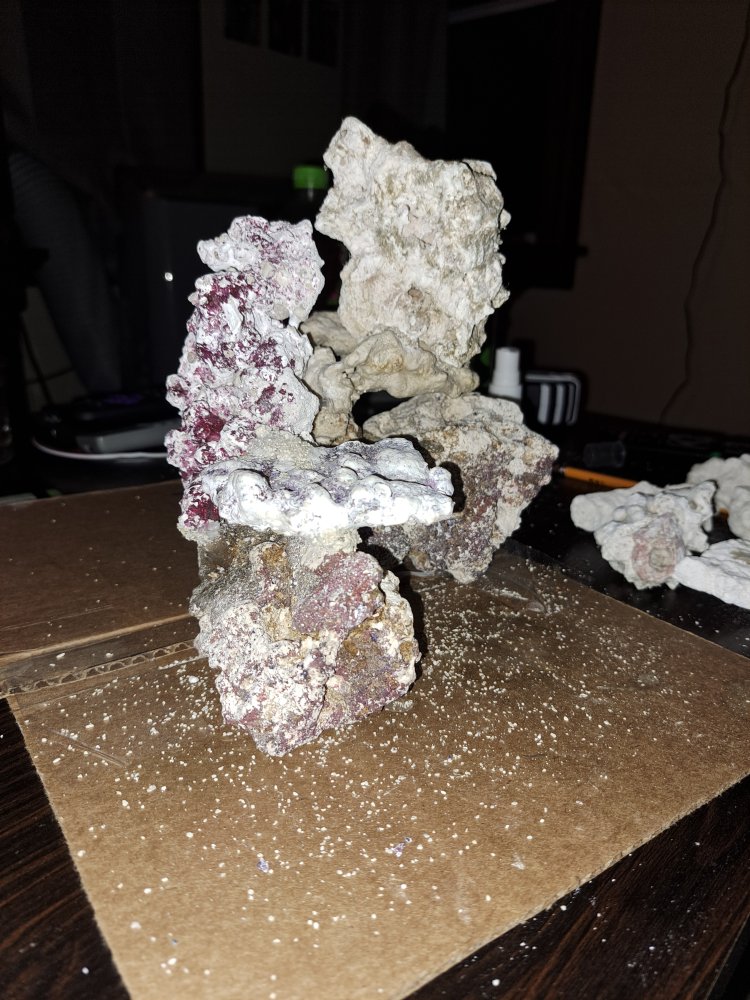 20220822_012854.jpg