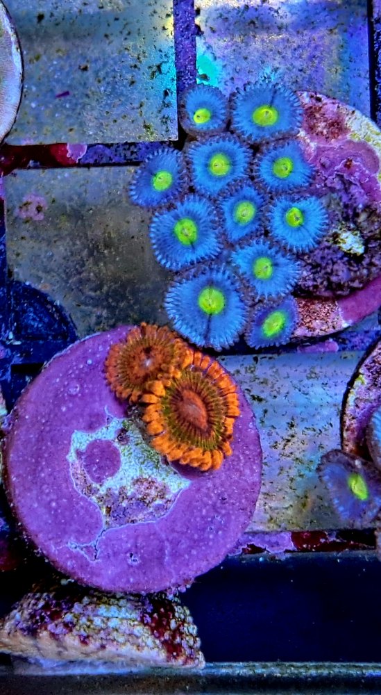 20220824_135446.jpg