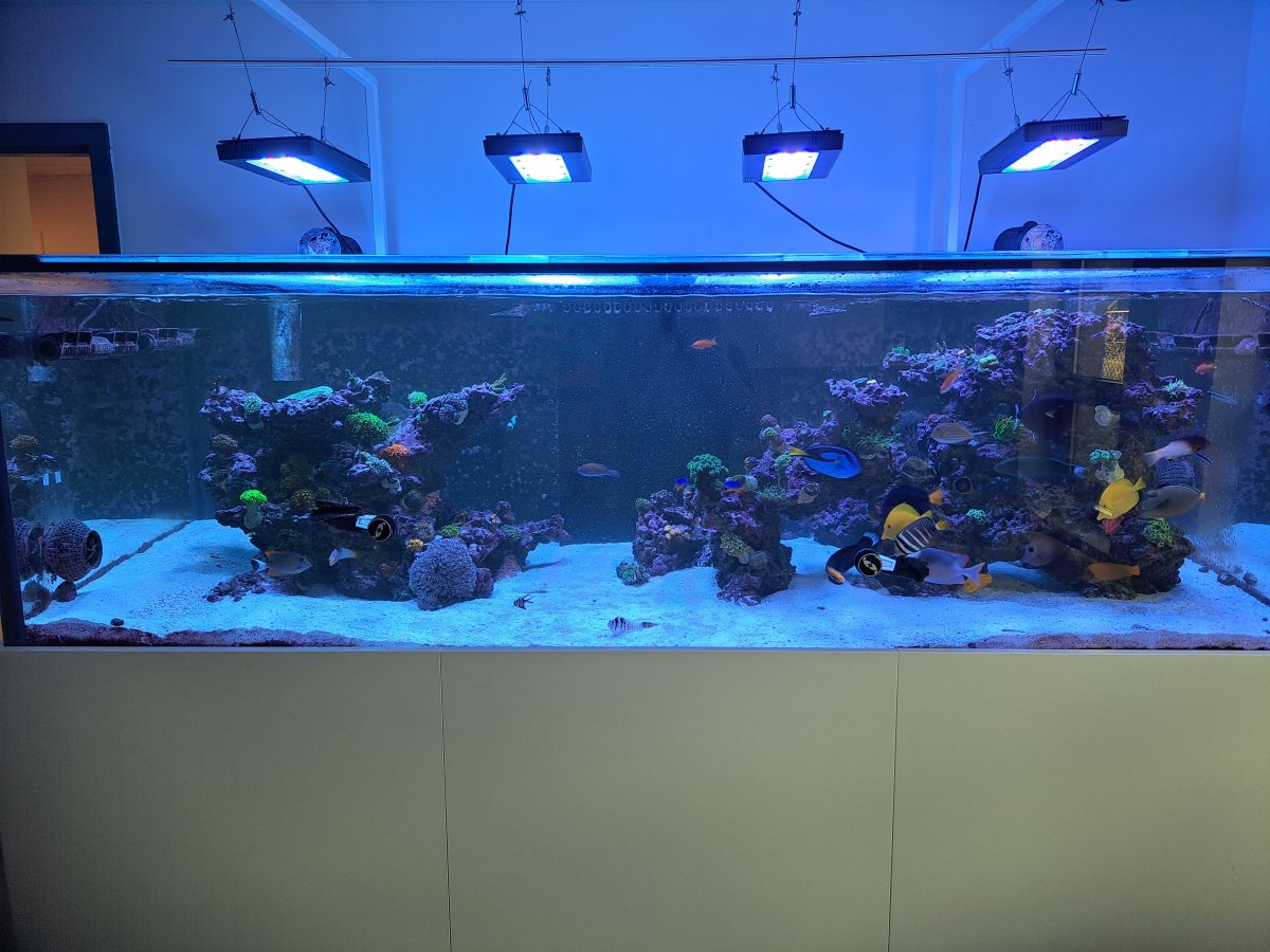 20220825_081800.jpg