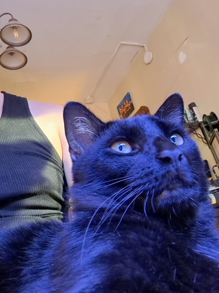 20220825_162632.jpg