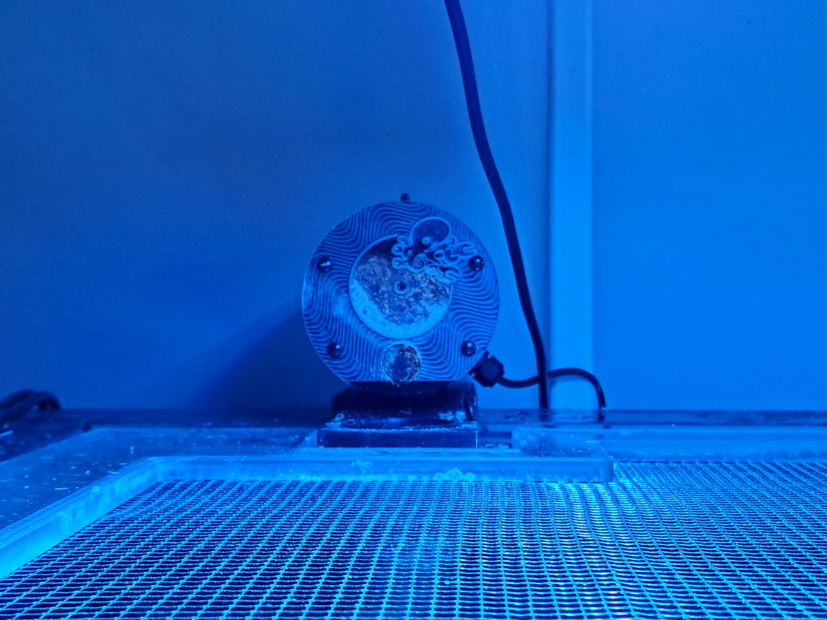 20220826_090002.jpg