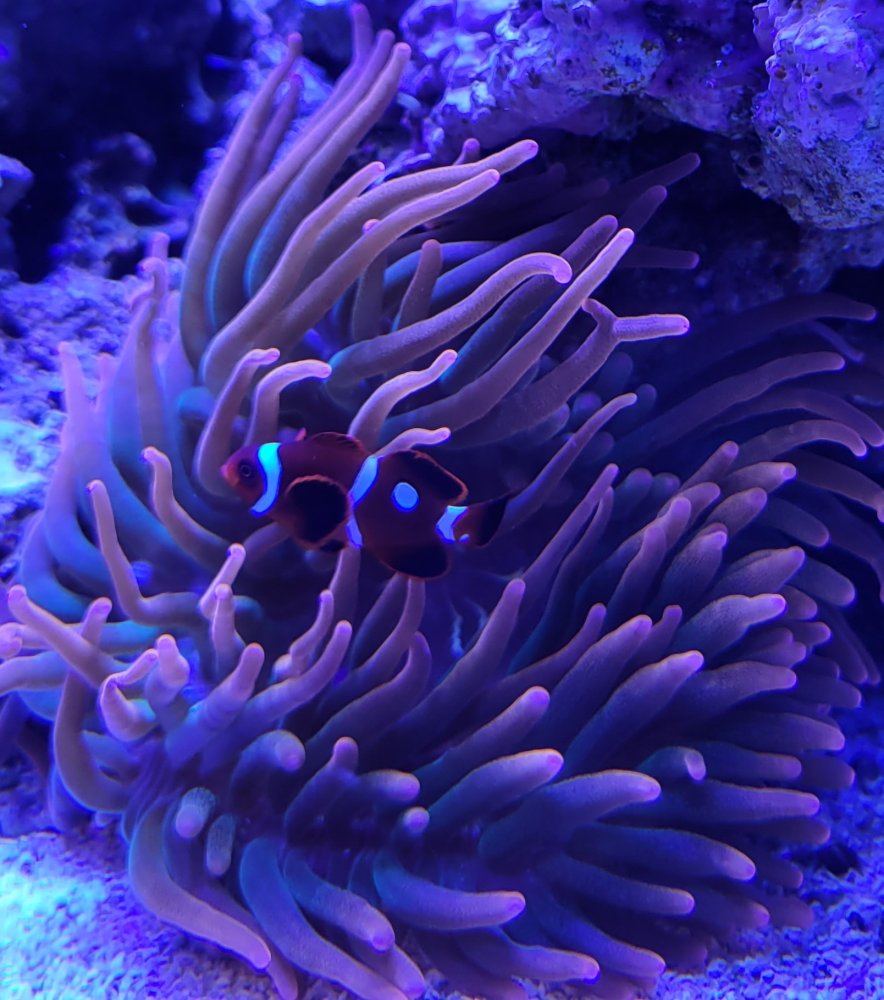 20220907_153839.jpg