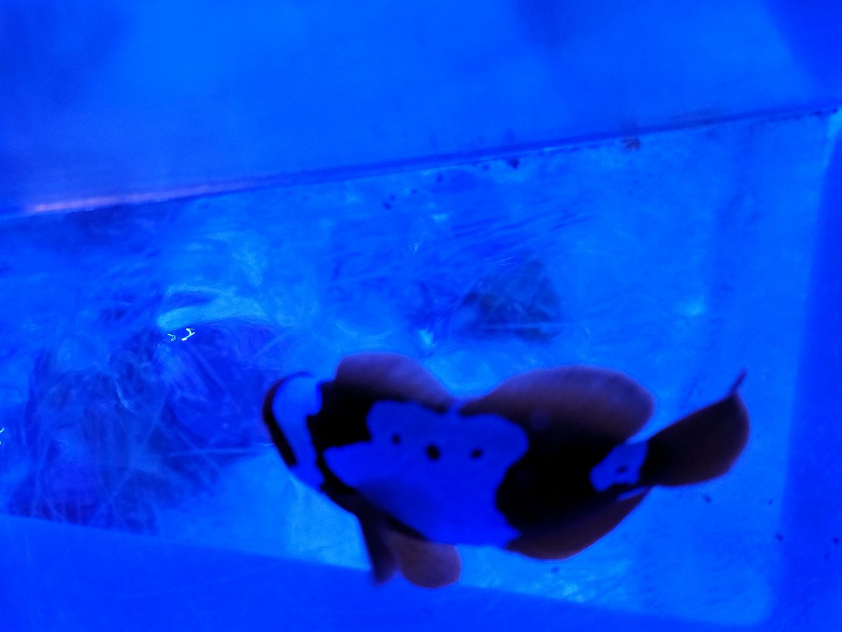 20220908_184958.jpg