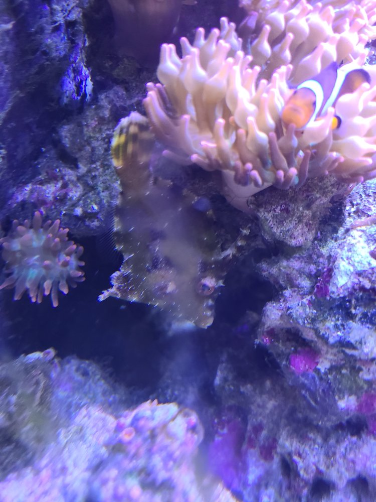 20220914_151236.jpg