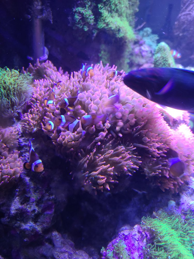 20220914_151239.jpg