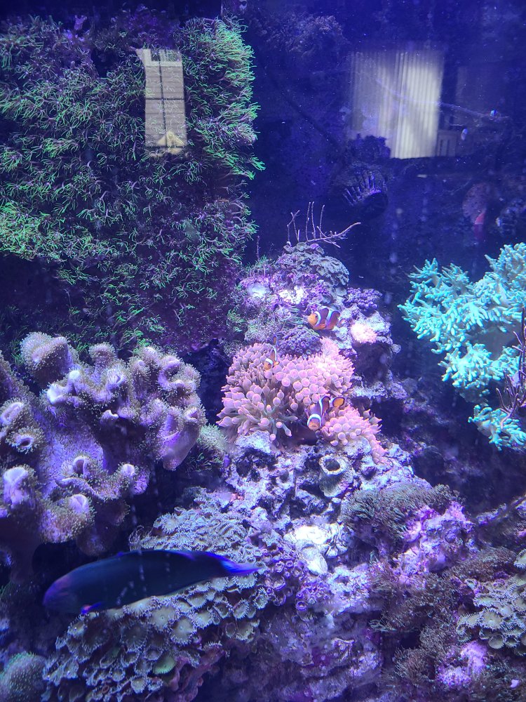 20220914_151256.jpg