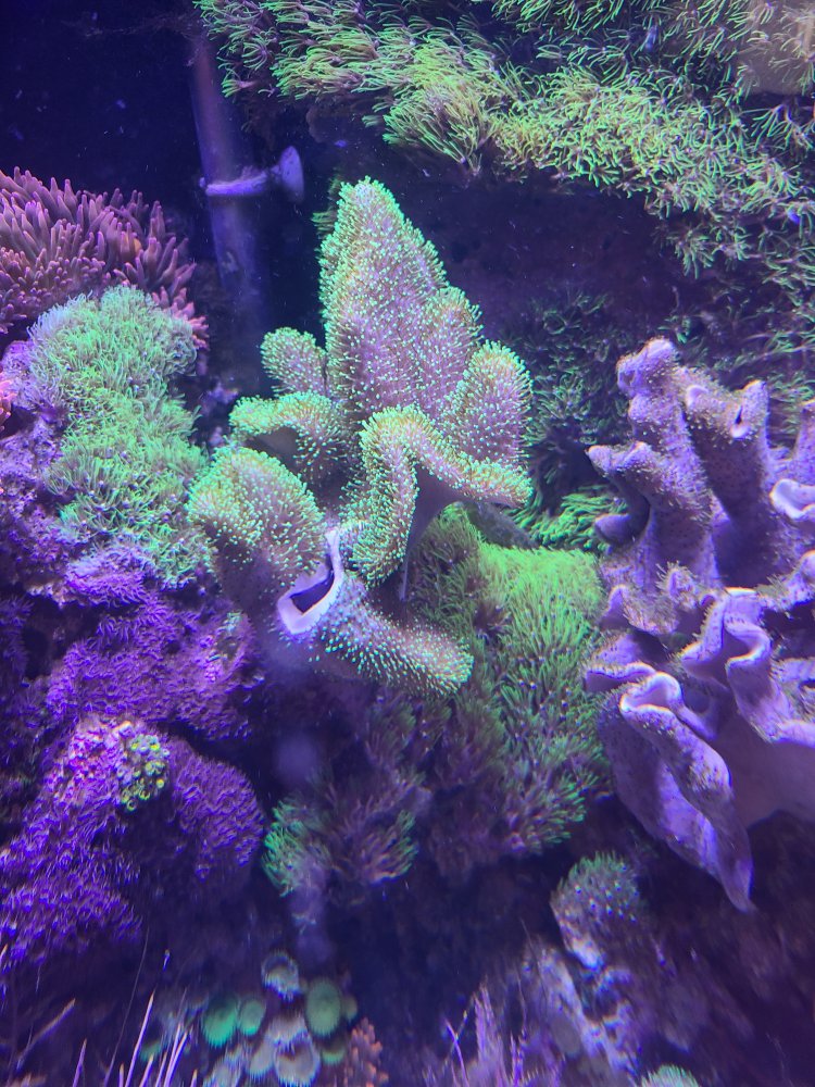 20220914_162031.jpg