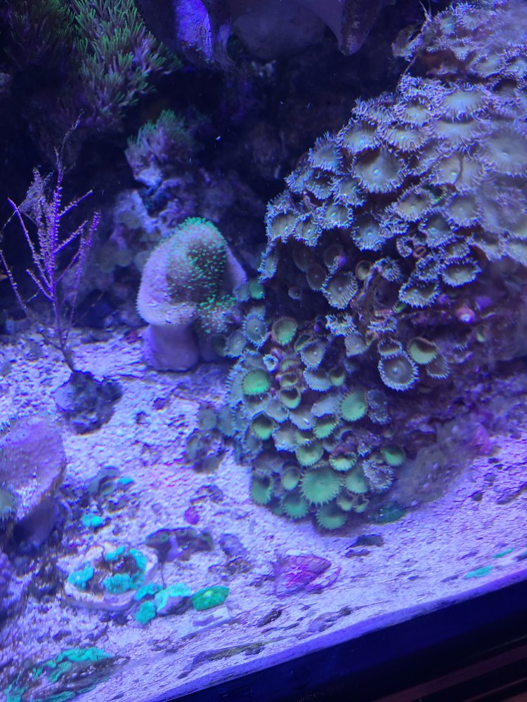 20220914_162034.jpg