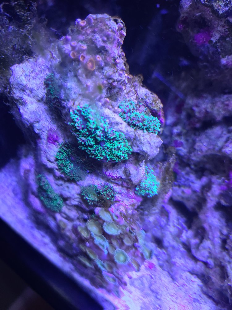 20220914_162040.jpg