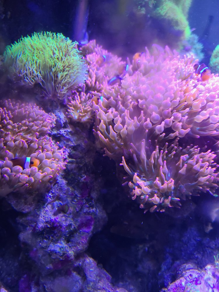 20220914_162043.jpg