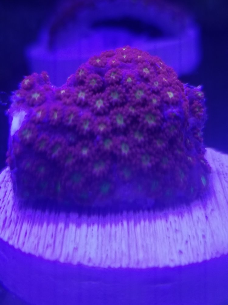 20220922_184705.jpg