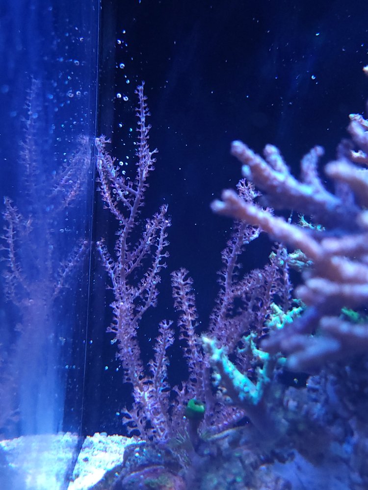 20221020_080625.jpg