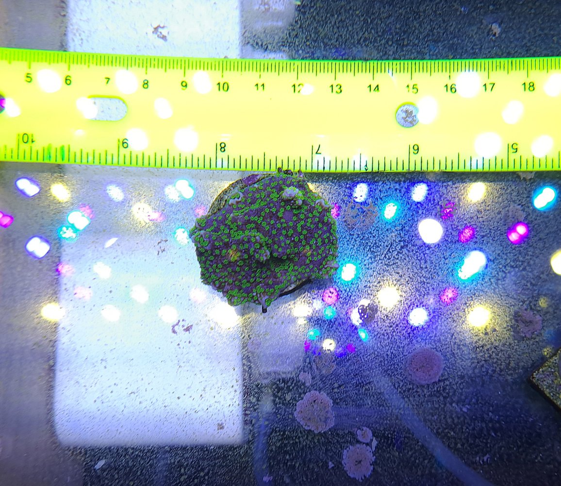 20230102_183728.jpg