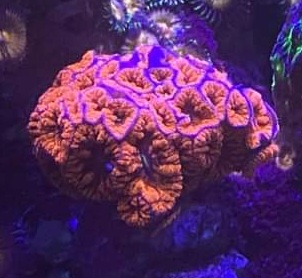 20230110_175723.jpg