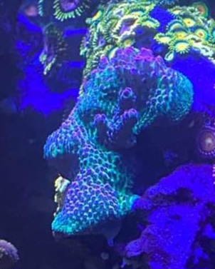 20230110_180531.jpg