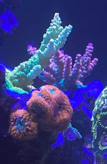 20230110_180701.jpg
