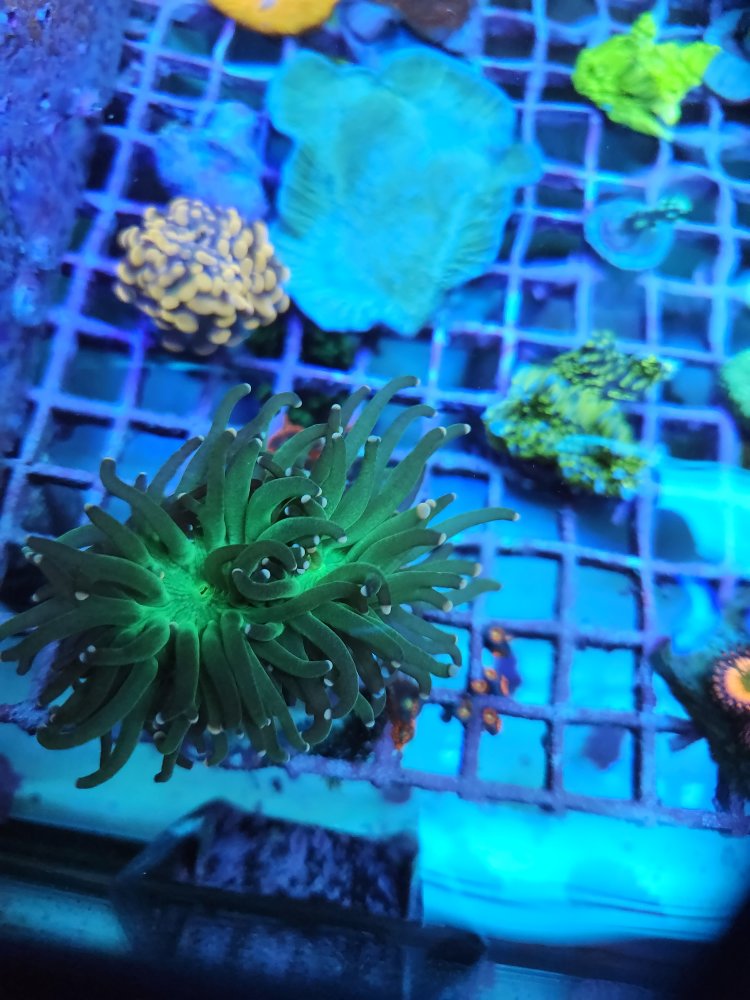 20230113_182221.jpg