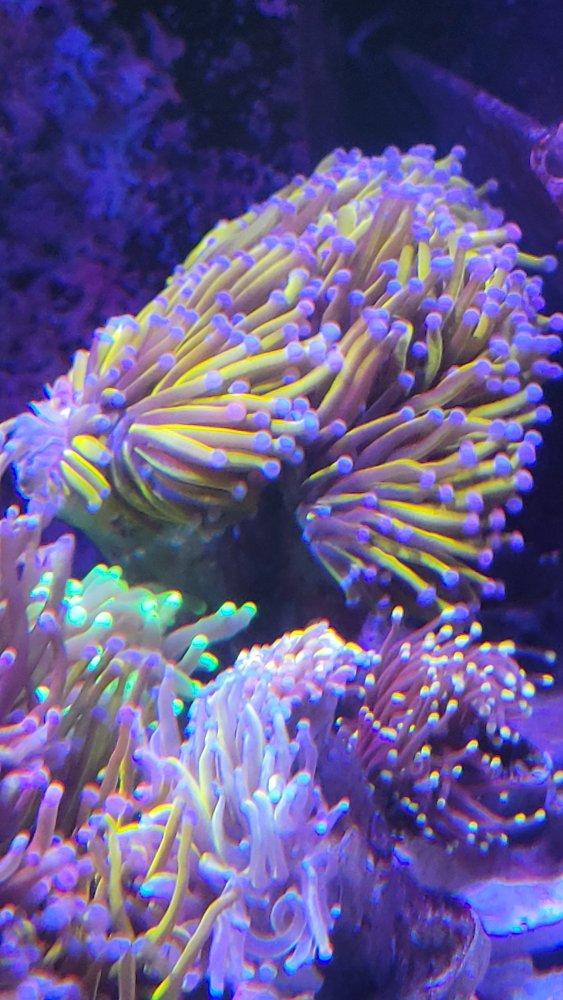 20230121_195500.jpg