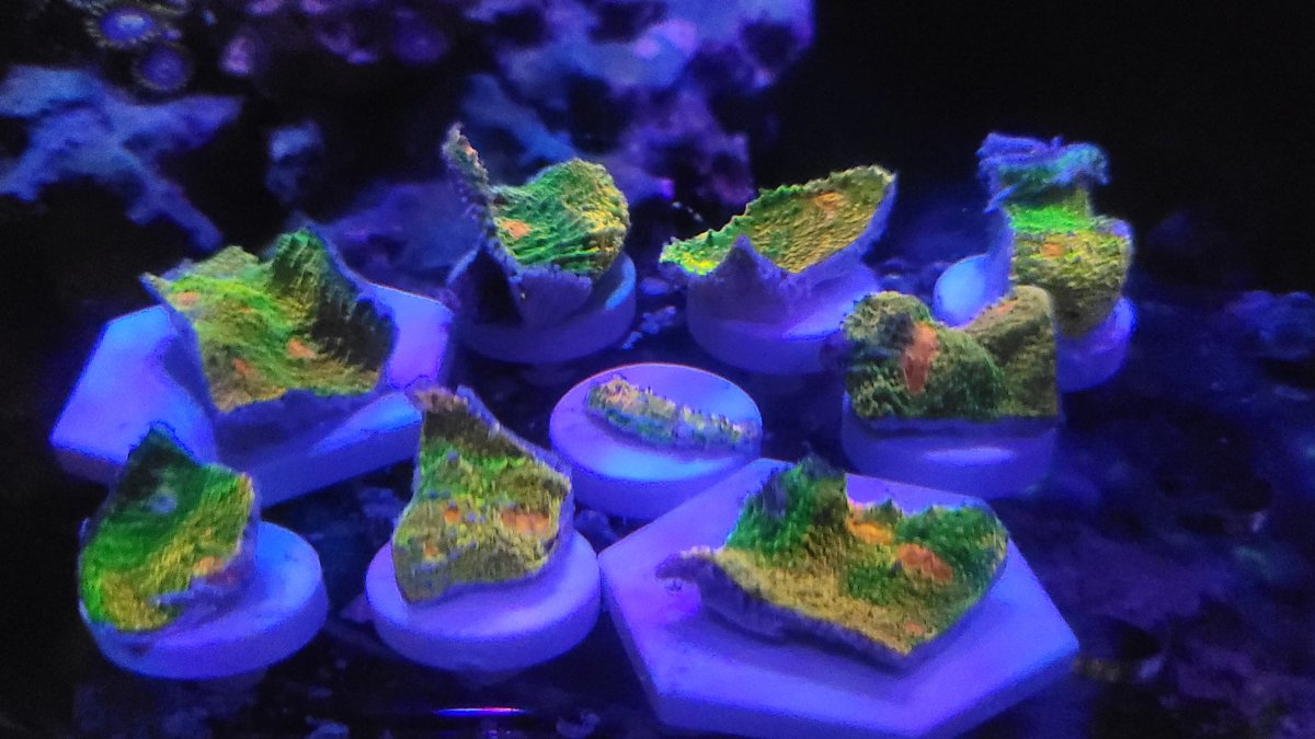 20230212_152754.jpg
