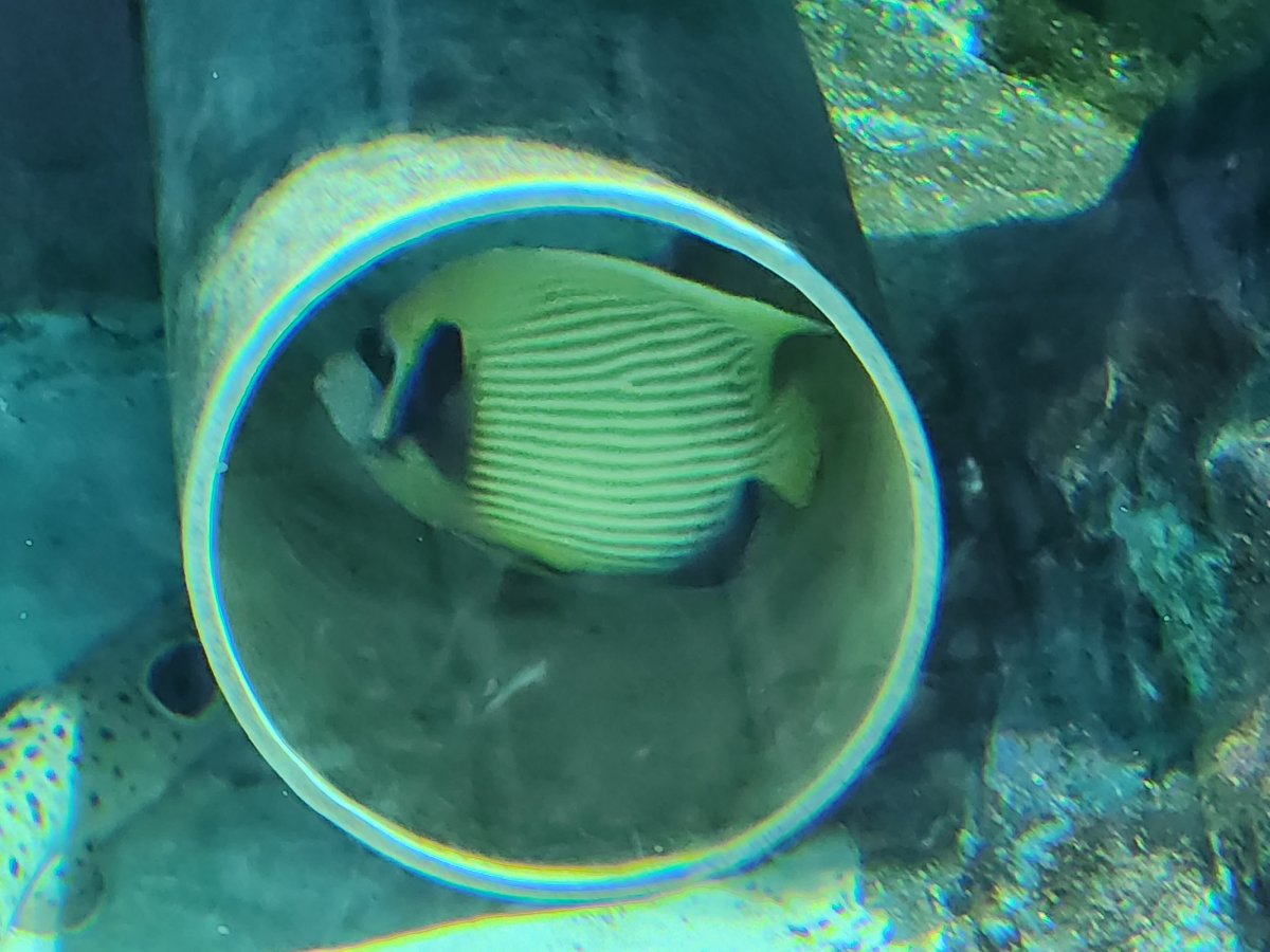 20230226_151150.jpg