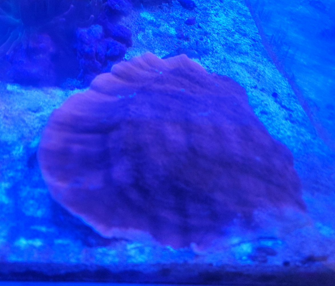 20230306_093750.jpg