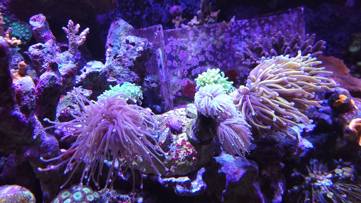 20230312_151831.jpg