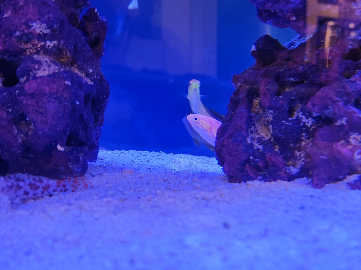 20230313_184023.jpg