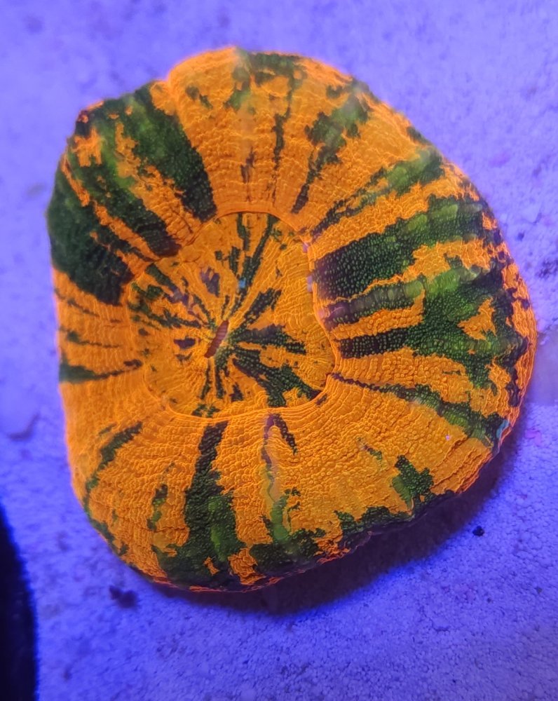 20230317_170224.jpg