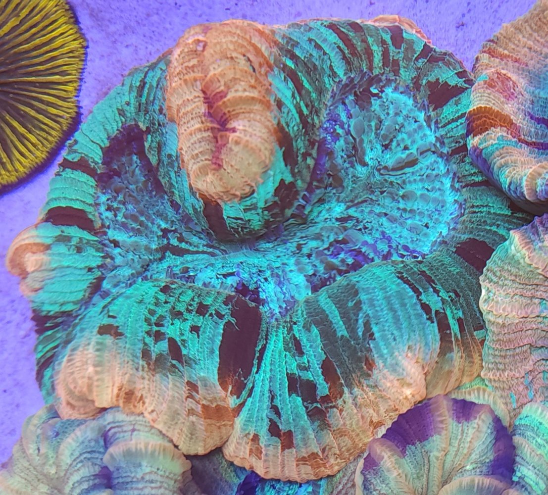 20230319_191430.jpg