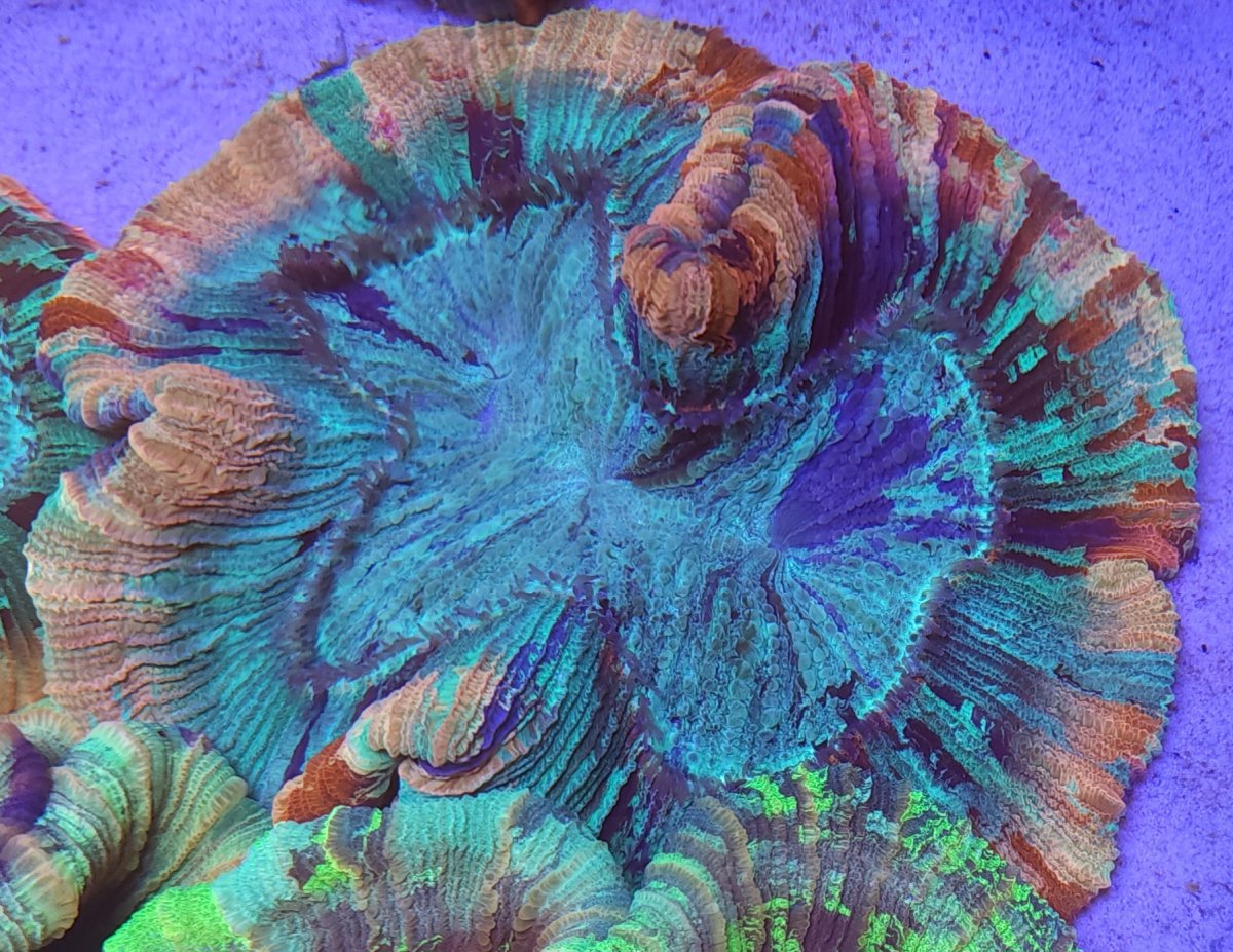 20230319_191456.jpg