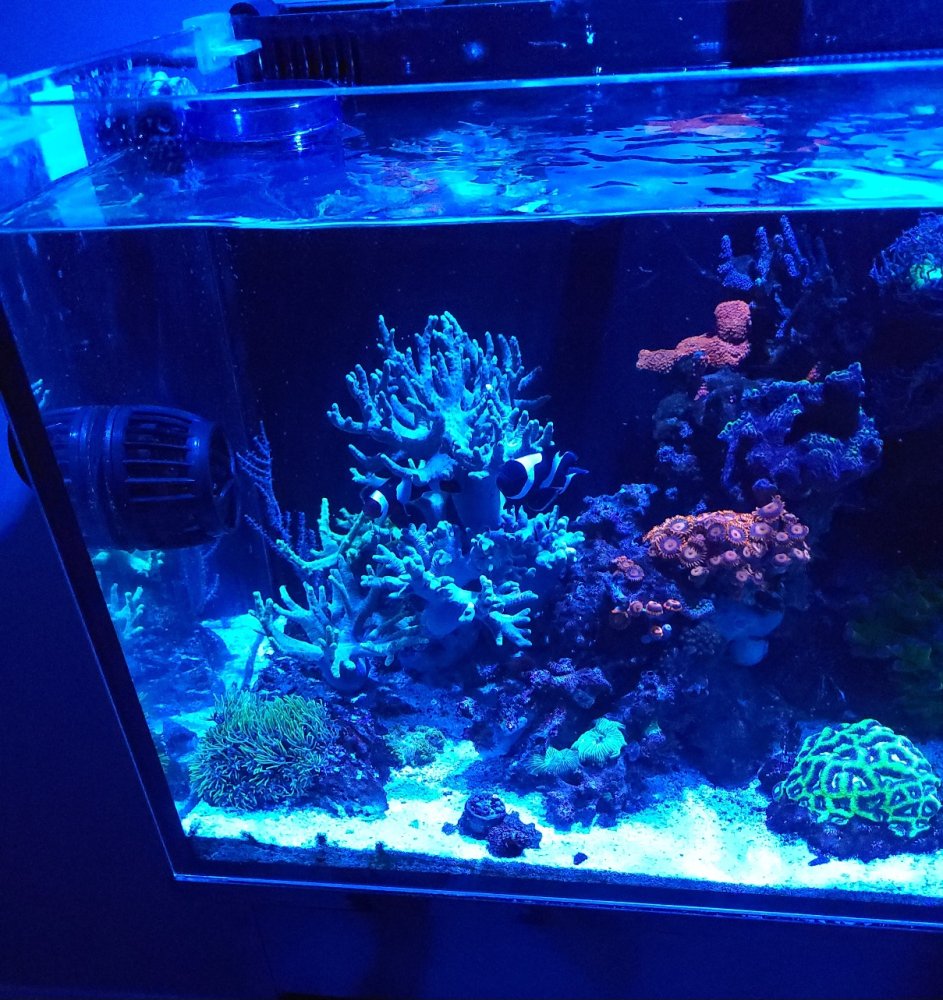 20230323_191554.jpg