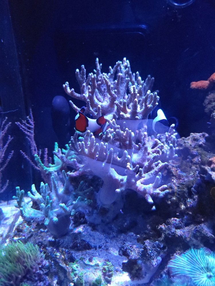 20230325_105411.jpg